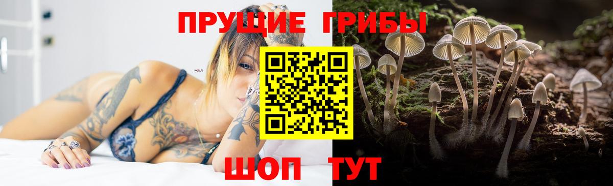 Псилоцибиновые грибы Cubensis Усинск